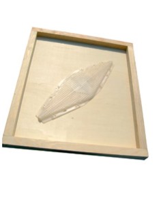 Chasse abeilles 2 sorties losange sur couvre cadre